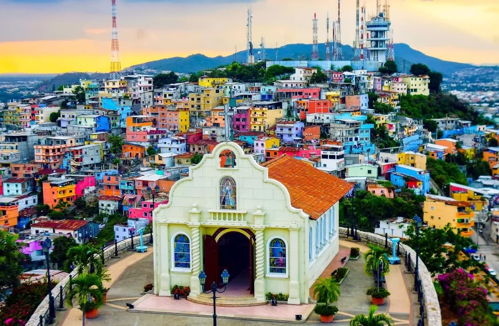 Weed in Guayaquil