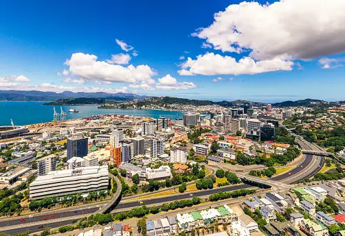 Weed in Wellington