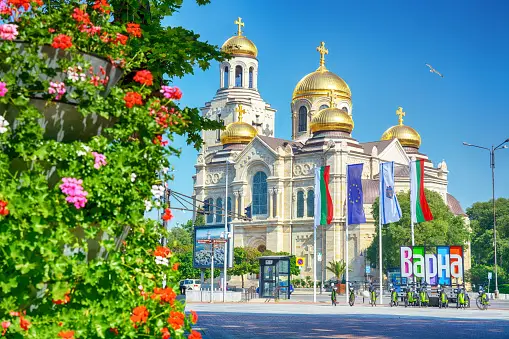 Weed in Sunny Beach, Weed in Varna