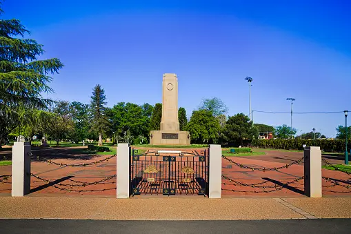Weed in Dubbo