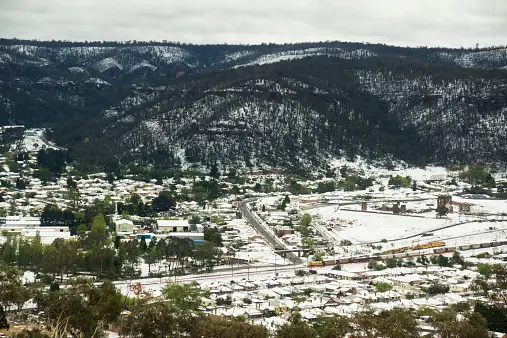 Weed in Lithgow