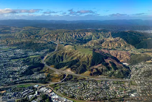 Weed in Upper Hutt