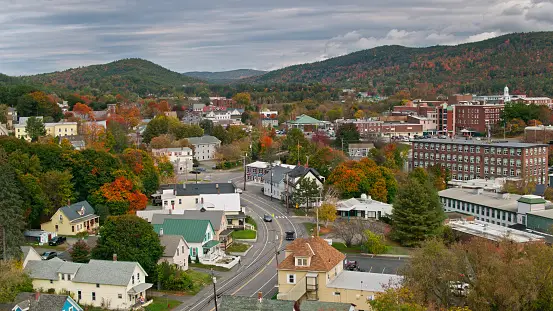 Weed in Grafton