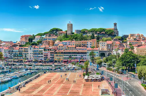 Weed in Cannes