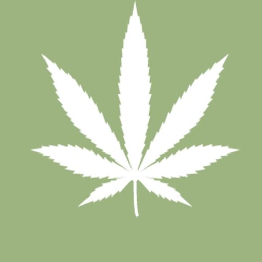 Weed in Amsterdam