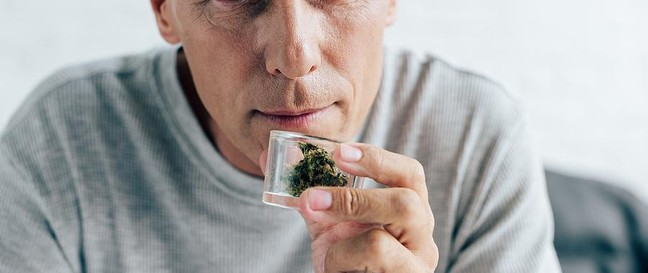 Weed in Turin